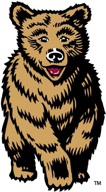 Montana Grizzlies 1996-2009 Mascot Logo diy iron on heat transfer